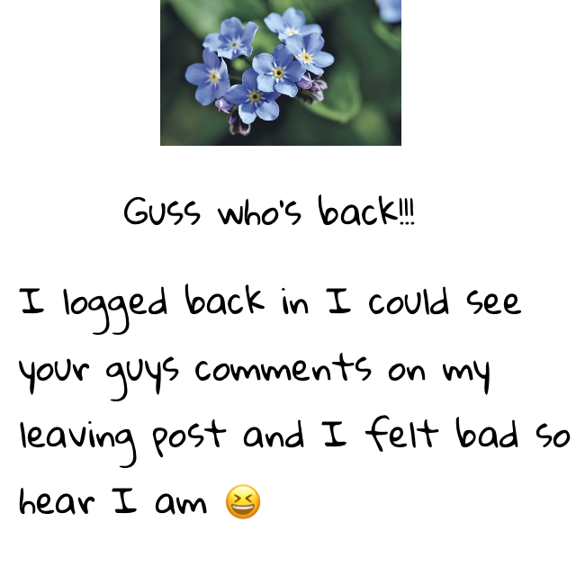 I'm back 