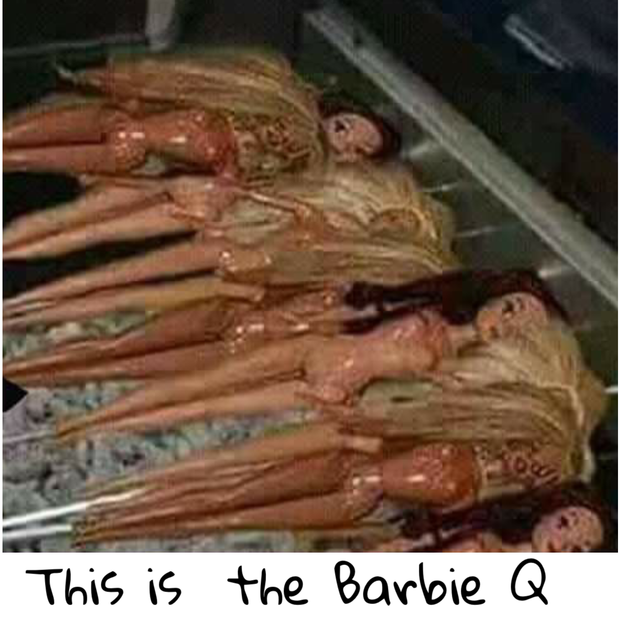 Barbie q