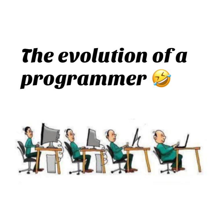 Programmer