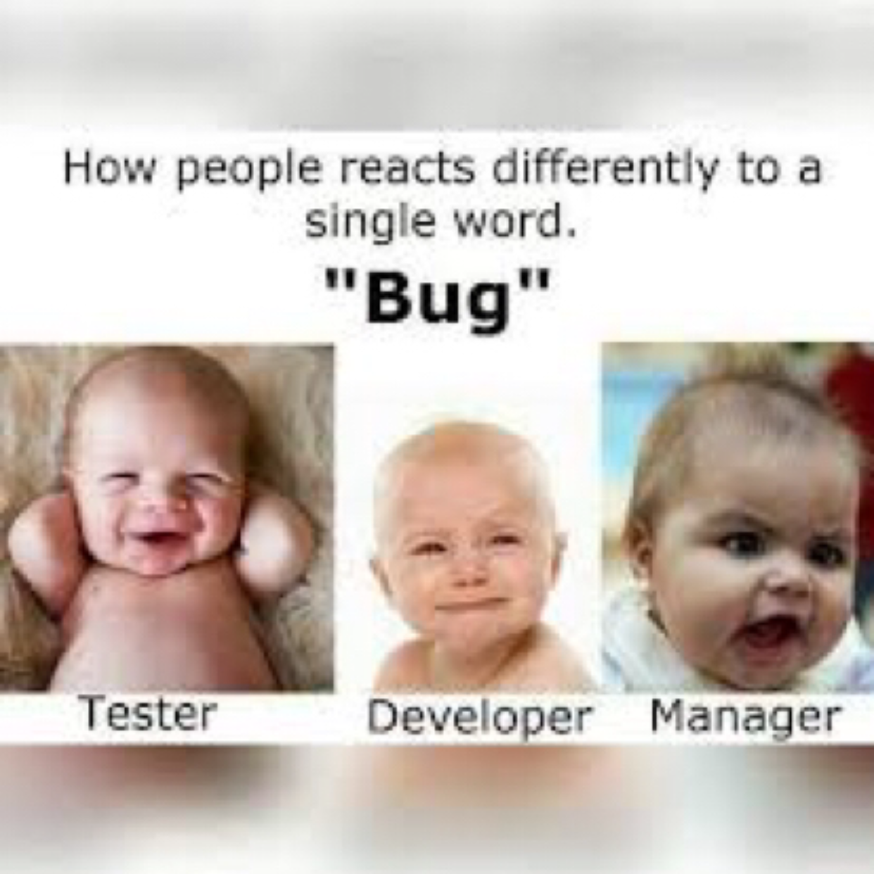 Developers vs Testers