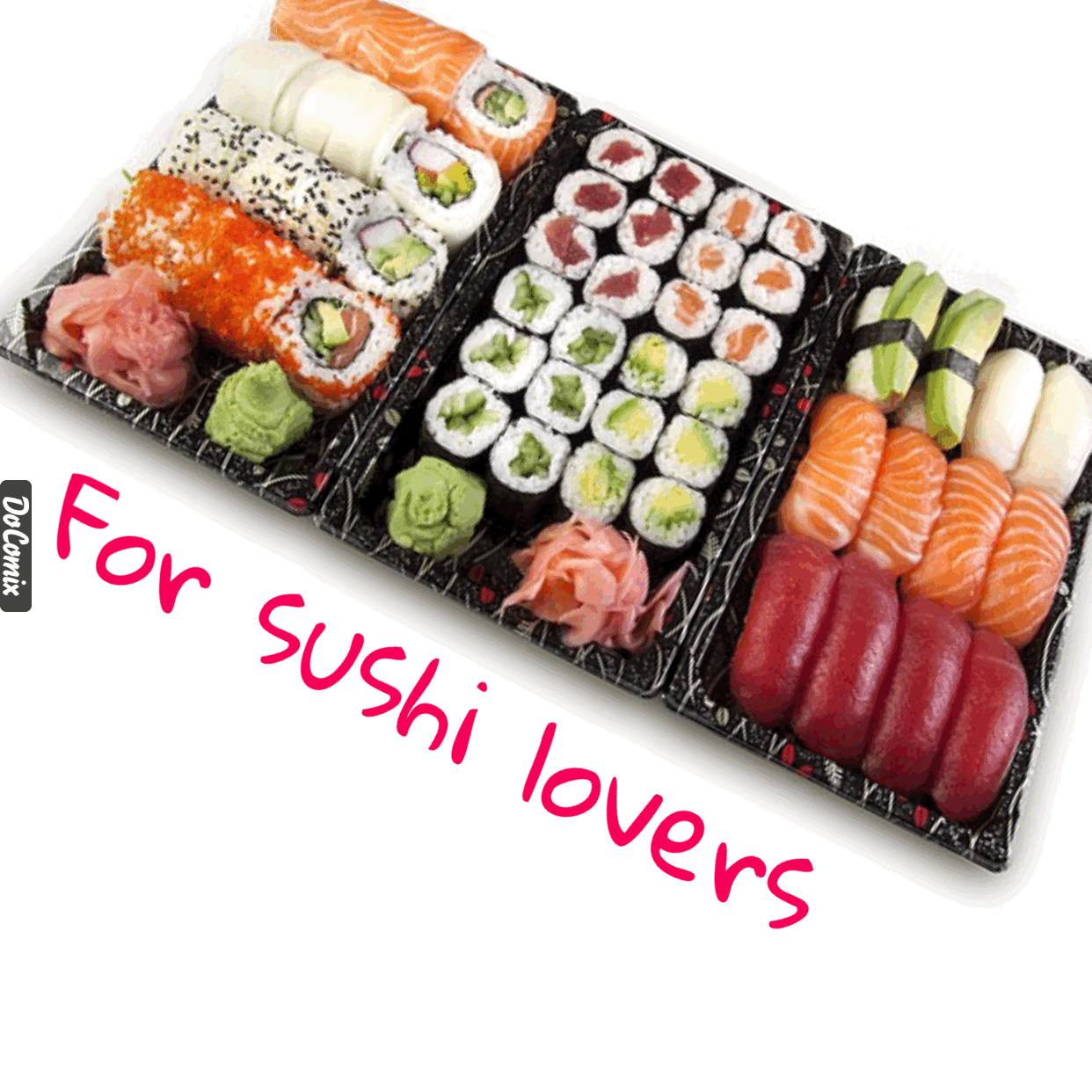 sushilovers